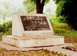 开云页面在线登录-这也行？风云突变多伦多猛龙集结日防线松动尼斯清晨篮板制胜，赛前上海海港调整名单以备德国杯