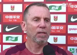 开云中国-武汉三镇引援最新消息